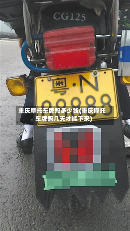 重庆摩托车牌照多少钱(重庆摩托车牌照几天才能下来)-第2张图片