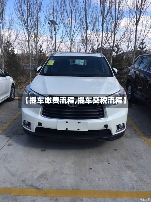 【提车缴费流程,提车交税流程】