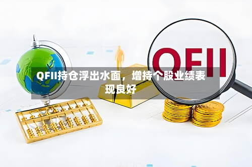 QFII持仓浮出水面，增持个股业绩表现良好-第2张图片