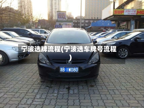 宁波选牌流程(宁波选车牌号流程)-第2张图片