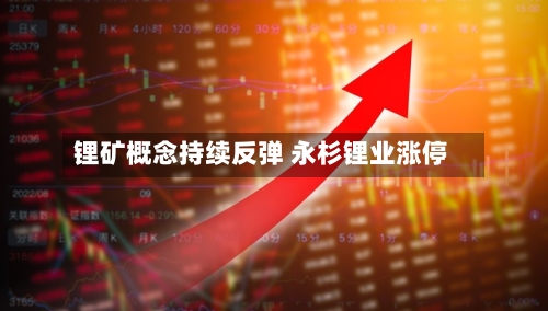 锂矿概念持续反弹 永杉锂业涨停
